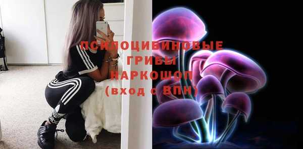ПСИЛОЦИБИНОВЫЕ ГРИБЫ Аркадак