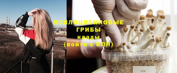 apvp Армянск