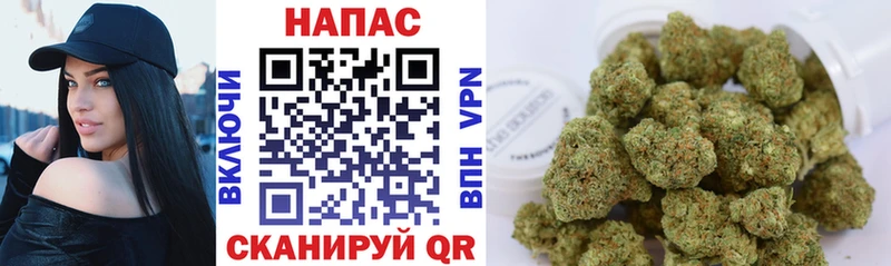 наркотики  Нижний Тагил  Бошки Шишки ГИДРОПОН 